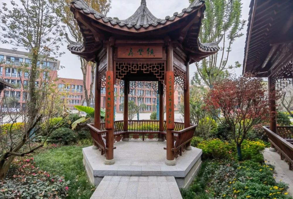 亭台银杏  学子人与景融为一体勾勒出一幅幅美丽画卷来源:新津教育