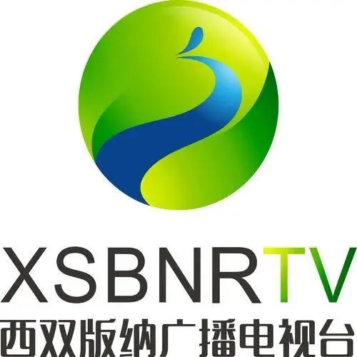 2022西双版纳广播电视台少儿春节联欢晚会官宣