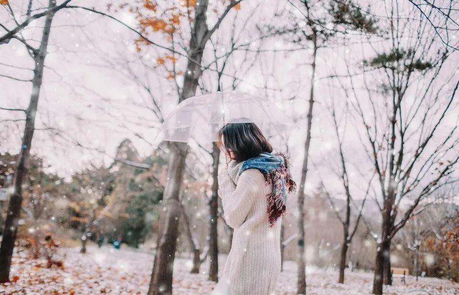 普洱要下雪了普洱首個粉色飄雪狂歡季1月26日盛大迎客門票免費送