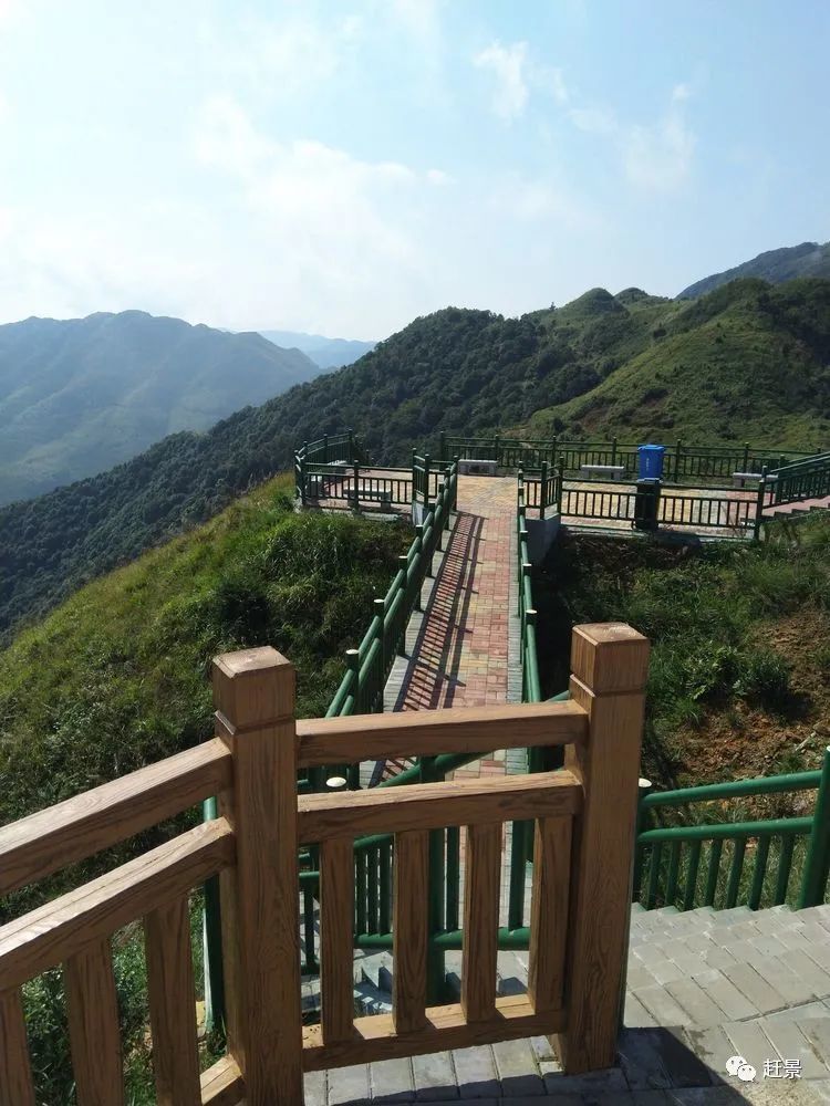 信宜平塘镇马安竹海之行