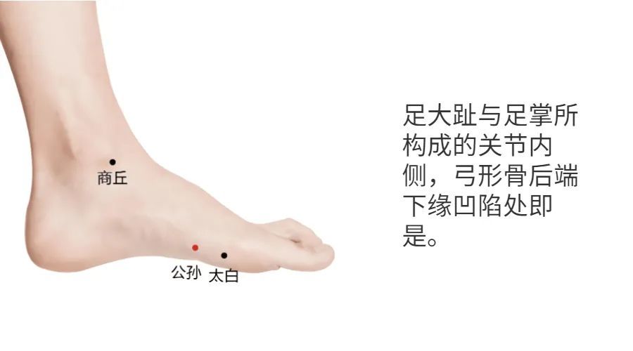 太白穴位位置图(太白穴位位置图及功效)