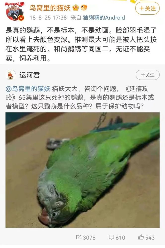 于正还能翻身吗？小葱拌鲜肉怎么做