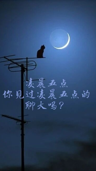 来和newsir一起选取你的明日动态吧你想拥有怎样的一天呢明天充满未知