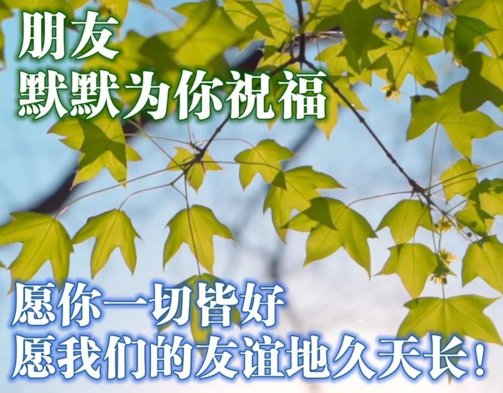 12月3日群發清晨早上好問候祝福動態表情圖片早安問候語及暖心的話