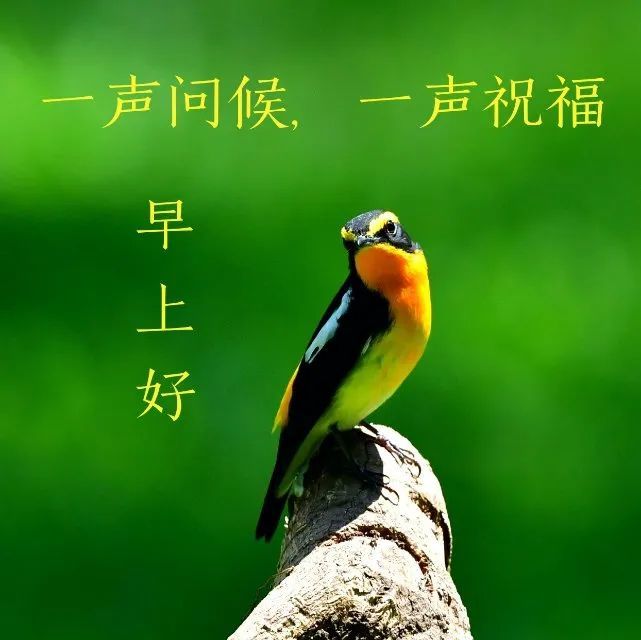 12月3日星期五漂亮最新版早安祝福图片微信群发暖人心的周五早上好