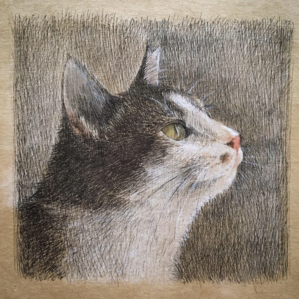 彩铅猫咪日本艺术家伊势田理沙