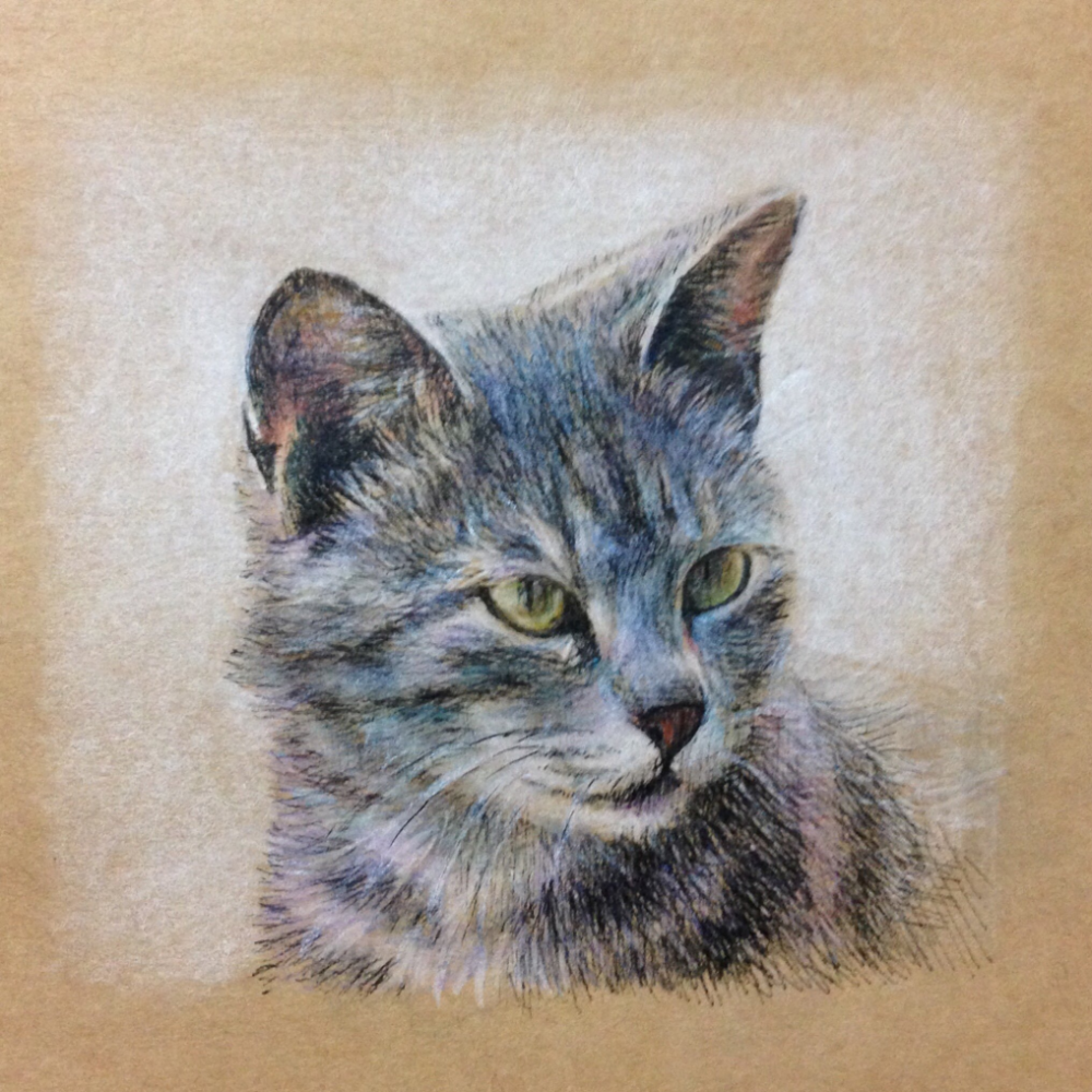 彩铅猫咪日本艺术家伊势田理沙