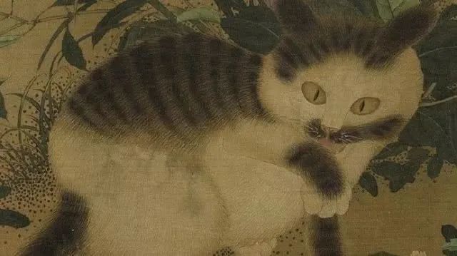 古代猫奴们也丝毫不逊色,他们管自家猫叫 "狸奴","小於莵wutu","衔蝉"