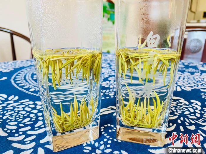 白玉仙茶 李典 摄