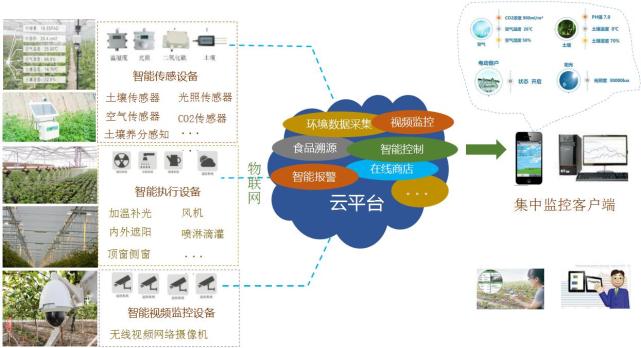 传感器或者物联网技术能和大棚结合,你准备好了吗?