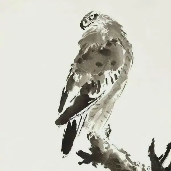 国画萧朗和他的鹰