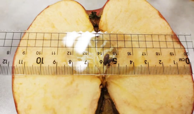 果径是普通苹果2倍多 超大果咋回事?