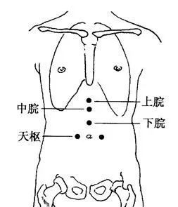 胃脘部在人体位置图图片