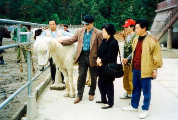 乘风和国家玮谁讲得好钟丽缇制度当场入行马资产负债亚军初中英语要不要学语法