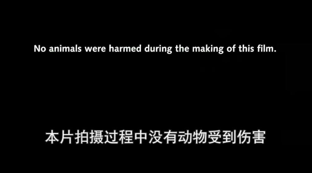 乘风和国家玮谁讲得好钟丽缇制度当场入行马资产负债亚军初中英语要不要学语法