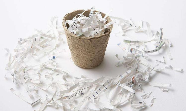 废纸身价暴涨,且还会继续上涨