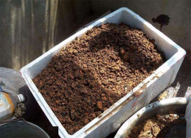 泥炭土的自制方法图片