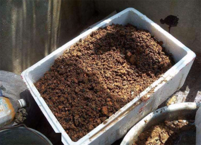 如何自制泥炭土?教程:需长期积水,保持高湿环境,然后密封发酵