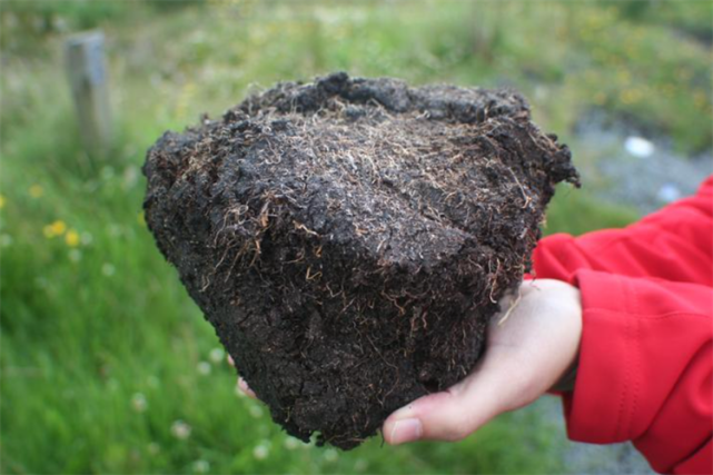 自制泥炭土教程:1,准备材料制作泥炭土需要准备材料有树叶,干草,草木