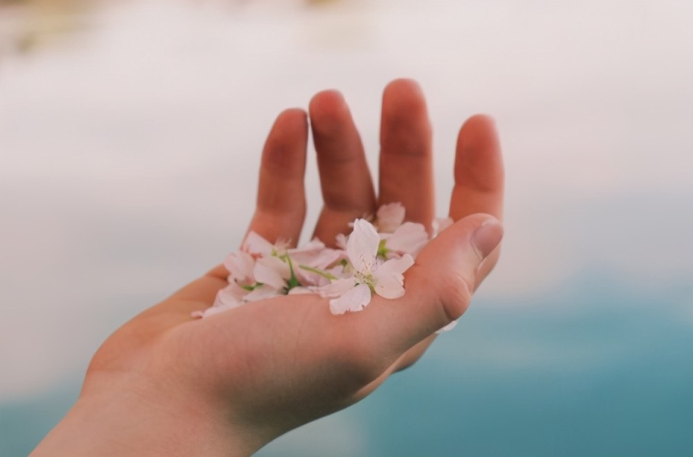 有一种善良,叫"放手"_腾讯新闻