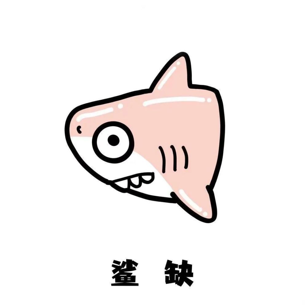 头像100正宗鲨雕