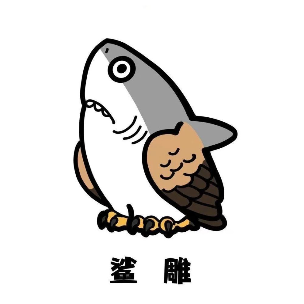 头像100正宗鲨雕