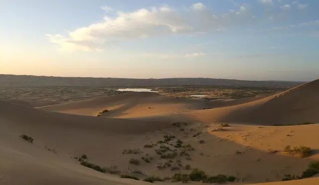 选编说明部分内容)作者简介:张国才,武威市凉州文化研究院党组书记