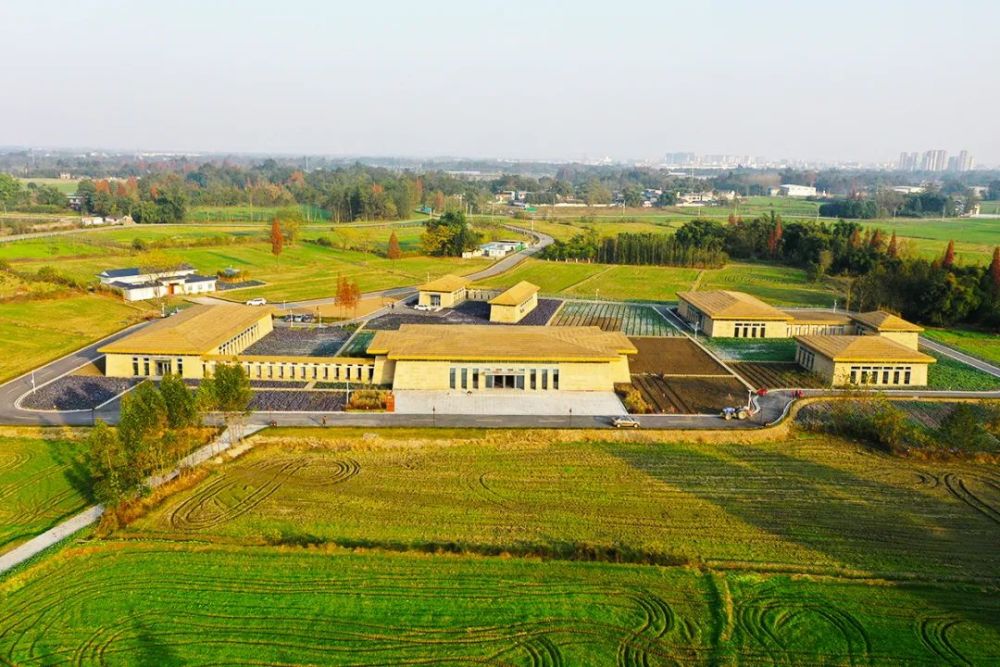 宝墩董林盘公园城市里的诗意栖居