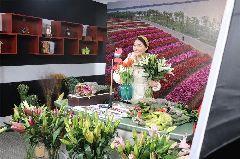 东海:"鲜花小镇"冬闲时节花农忙