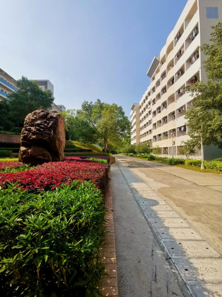 你好,韶关学院! - 265学校教育网