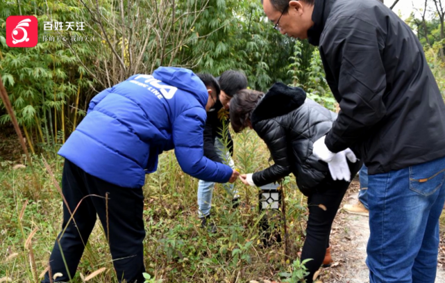 全國都在大剷除貴陽又發現生態殺手近30株見到後請這樣做