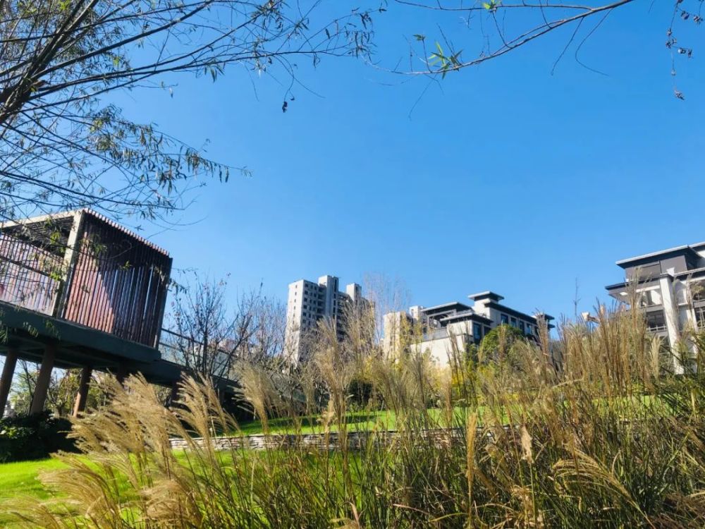 潢川红玺台二期生态美宅一口价5500元㎡清盘特惠错过再无