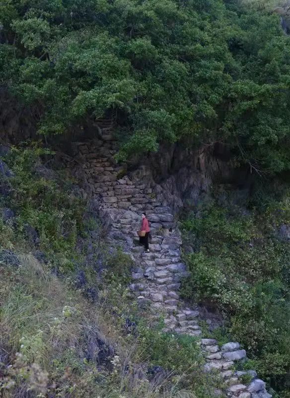 思林的这个小山坳,有点适合拍照!