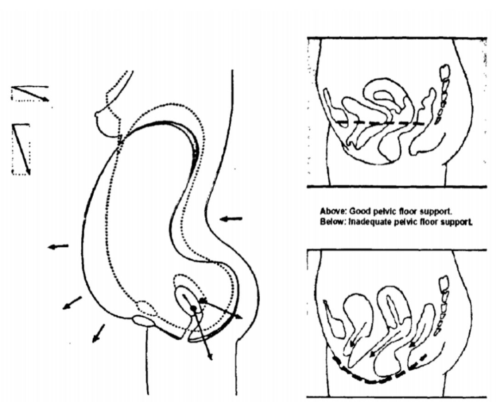 还有脏器感染,痔疮,妊娠纹,脱发,骨骼疼痛,阴道壁膨出,子宫膀胱脱垂