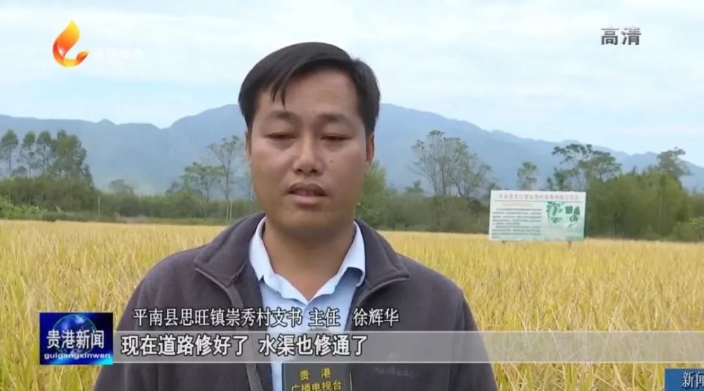 平南思旺镇崇秀村3090亩高标准农田竣工投入使用