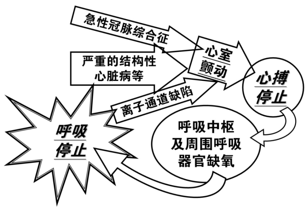 十秒鐘之內的決斷5心搏驟停的判斷呼吸改變