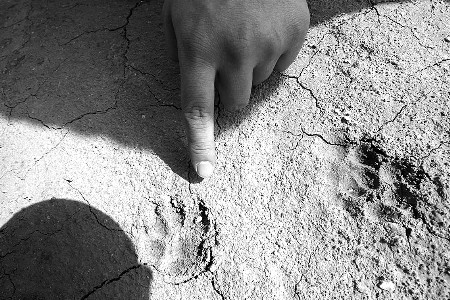 不识字的放羊老头53岁当上刑侦专家只因有一独门绝技