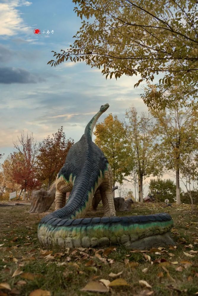 是一个巨大无比的湖泊,岸边林木繁茂,栖息着无数种动物,而克拉玛依龙