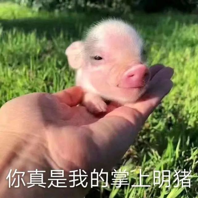 多图惊喜深圳地铁20号线第二座车站实景图剧透