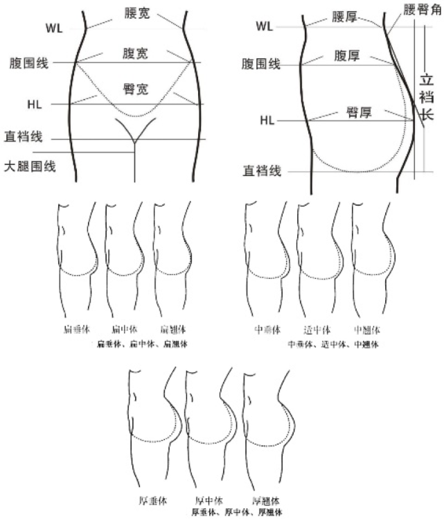 裆长的比值(臀凸高比)对样本进行分类,最终得出了多达9种臀部形态[3!