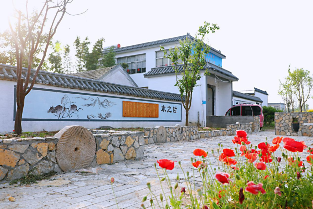 村美民富薛城区沙沟镇小营村美丽宜居乡村入画来