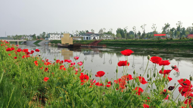 村美民富薛城区沙沟镇小营村美丽宜居乡村入画来