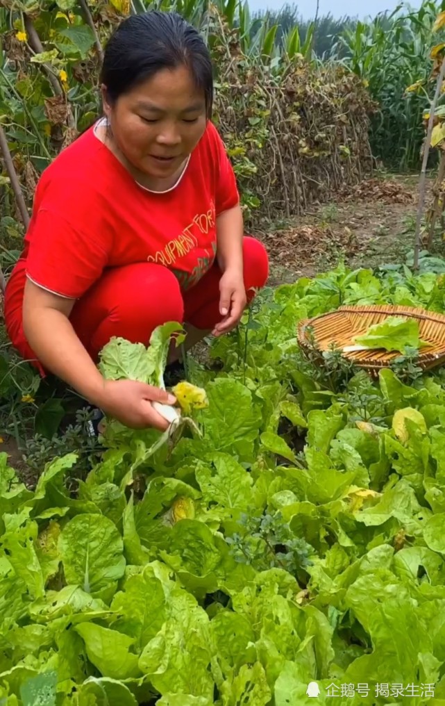 農村家庭主婦沒有工作,靠拍攝做飯日常擁千萬粉絲,如今喜提三胎