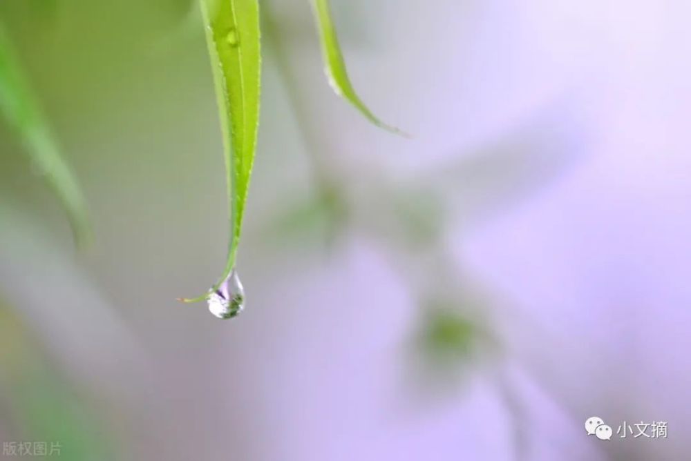 我喜歡春雨那纏纏綿綿的意境