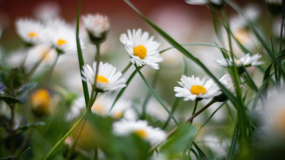 和这三大星座在一起,感觉特别的踏实安心