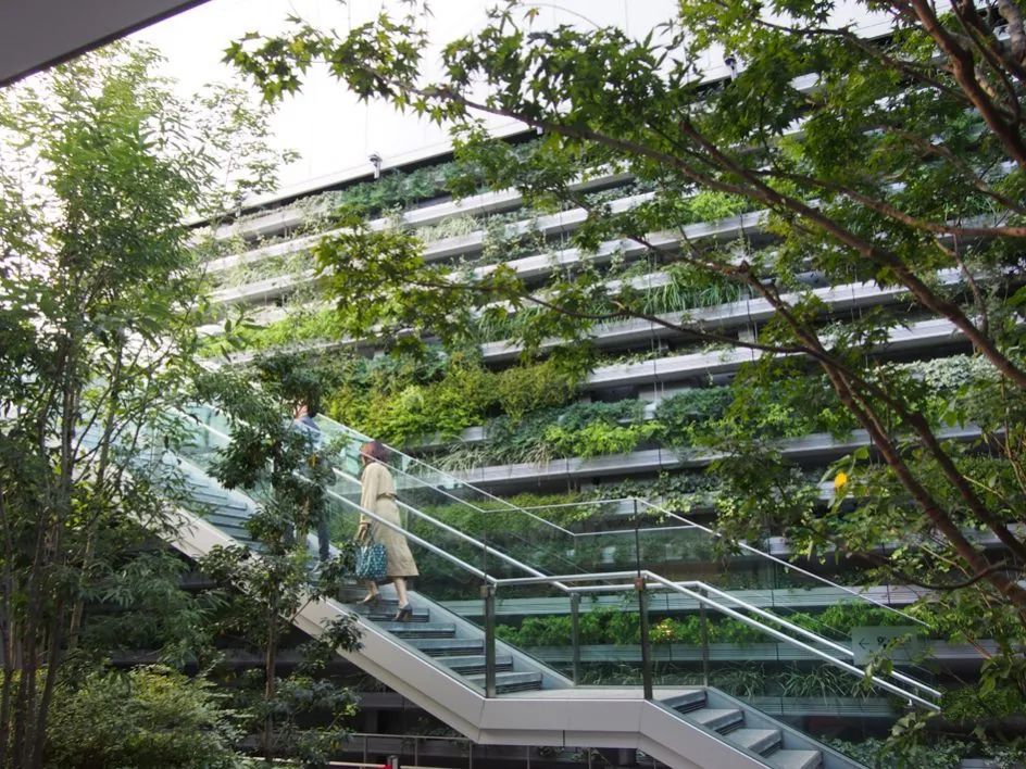 也许是东京最好的屋顶花园_腾讯新闻