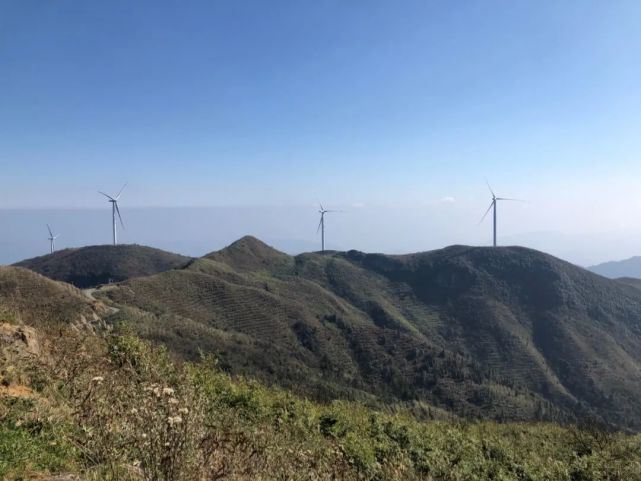 大风车吱呀吱哟哟地转,遵义这里的"风车"会发电