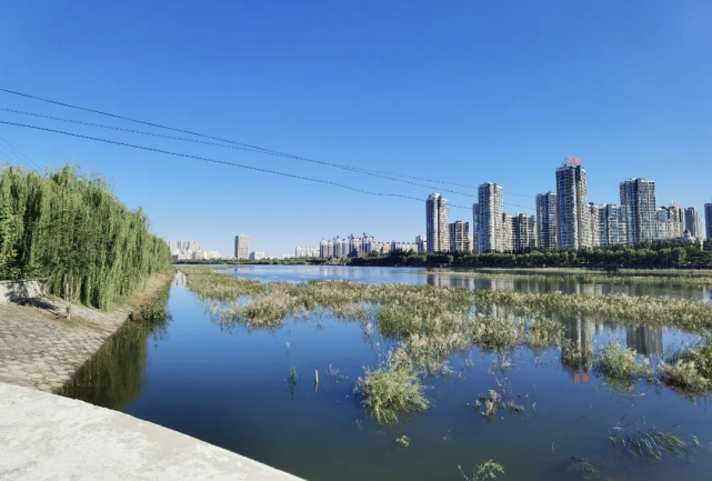 今年6月8日,通州區漁政執法人員在北京市通州區宋莊鎮白廟村白廟橡膠