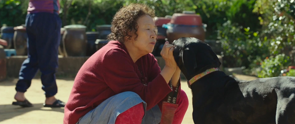 韩国票房冠军哦文姬撞上古董局中局2天票房仅52万