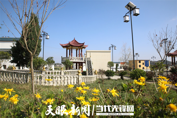"在乡村振兴上开新局—宜居乡村看安顺"丨平坝合旺村:数字乡村平台
